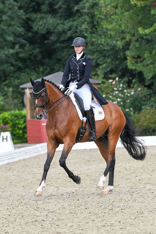 Anakenenhof    Dressur  25.08.2023 | Anakenenhof Prfg 2_643 