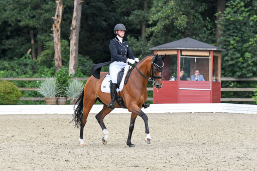 Anakenenhof    Dressur  25.08.2023 | Anakenenhof Prfg 2_647 