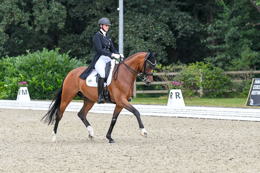 Anakenenhof    Dressur  25.08.2023 | Anakenenhof Prfg 2_648 