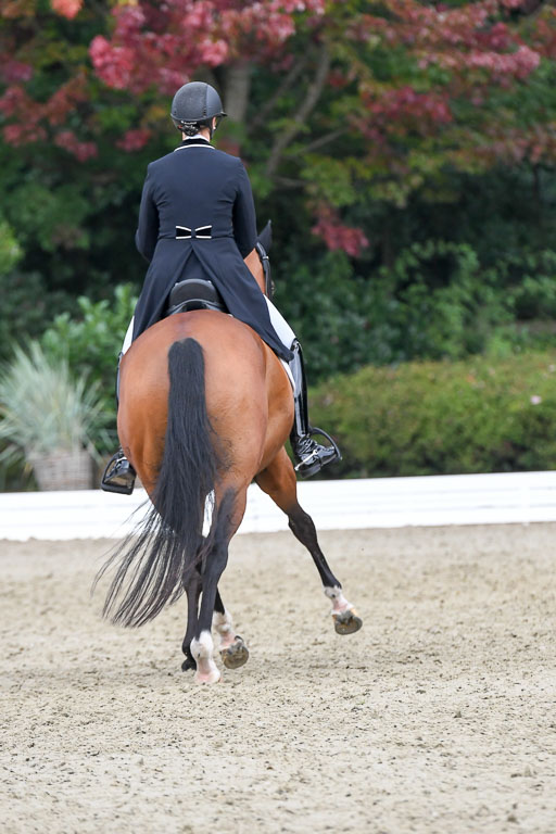 Anakenenhof    Dressur  25.08.2023 | Anakenenhof Prfg 2_650 