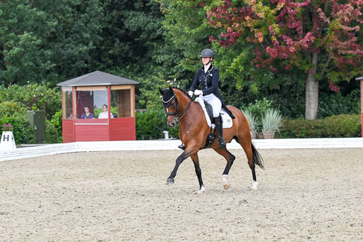 Anakenenhof    Dressur  25.08.2023 | Anakenenhof Prfg 2_652 