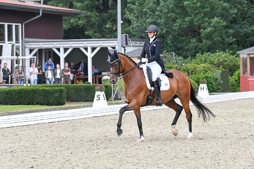 Anakenenhof    Dressur  25.08.2023 | Anakenenhof Prfg 2_653 