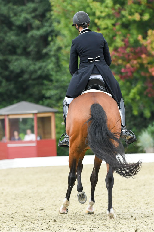 Anakenenhof    Dressur  25.08.2023 | Anakenenhof Prfg 2_657 