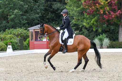Anakenenhof    Dressur  25.08.2023 | Anakenenhof Prfg 2_660 