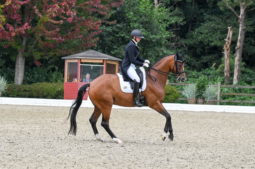 Anakenenhof    Dressur  25.08.2023 | Anakenenhof Prfg 2_662 