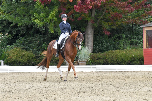 Anakenenhof    Dressur  25.08.2023 | Anakenenhof Prfg 2_673 
