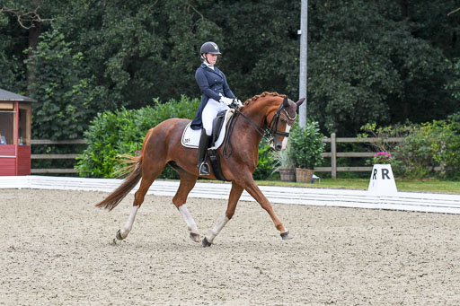 Anakenenhof    Dressur  25.08.2023 | Anakenenhof Prfg 2_677 