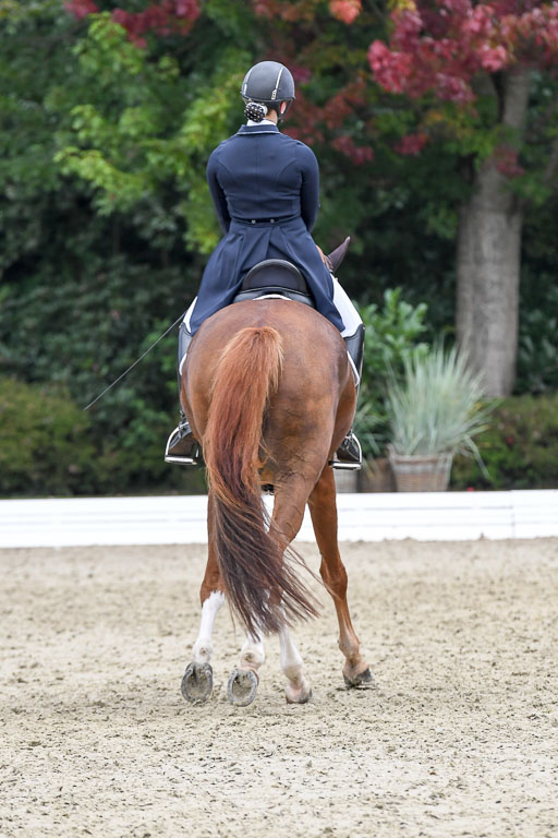 Anakenenhof    Dressur  25.08.2023 | Anakenenhof Prfg 2_681 