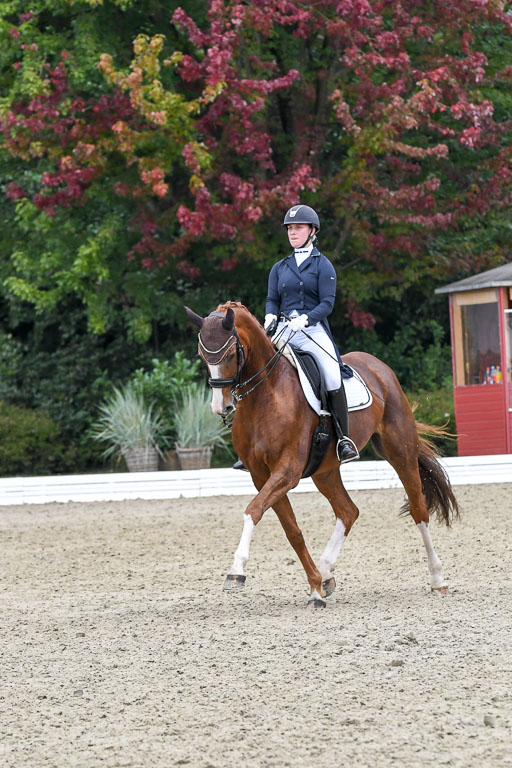 Anakenenhof    Dressur  25.08.2023 | Anakenenhof Prfg 2_682 