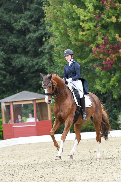 Anakenenhof    Dressur  25.08.2023 | Anakenenhof Prfg 2_686 