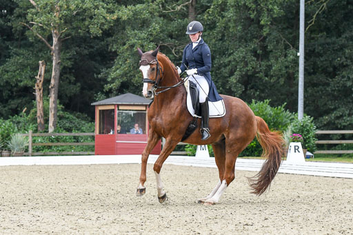 Anakenenhof    Dressur  25.08.2023 | Anakenenhof Prfg 2_687 