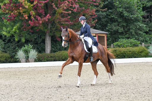 Anakenenhof    Dressur  25.08.2023 | Anakenenhof Prfg 2_689 
