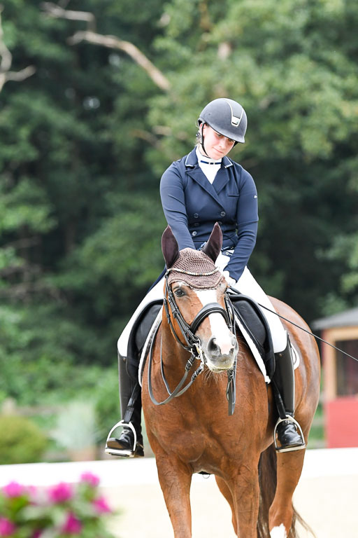 Anakenenhof    Dressur  25.08.2023 | Anakenenhof Prfg 2_691 