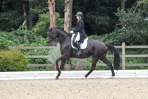 Anakenenhof    Dressur  25.08.2023 | Anakenenhof Prfg 2_693 