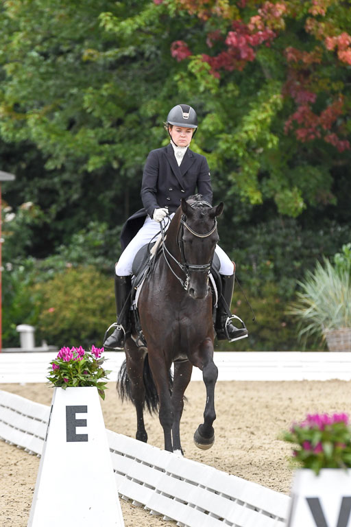 Anakenenhof    Dressur  25.08.2023 | Anakenenhof Prfg 2_694 