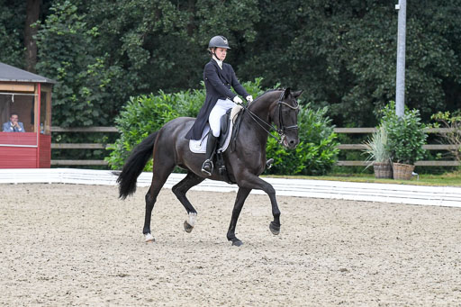 Anakenenhof    Dressur  25.08.2023 | Anakenenhof Prfg 2_697 