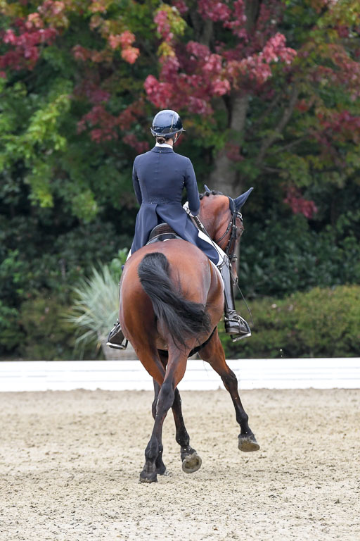 Anakenenhof    Dressur  25.08.2023 | Anakenenhof Prfg 2_718 