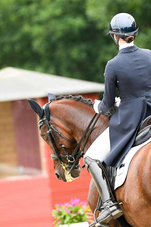 Anakenenhof    Dressur  25.08.2023 | Anakenenhof Prfg 2_719 