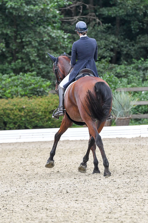 Anakenenhof    Dressur  25.08.2023 | Anakenenhof Prfg 2_721 