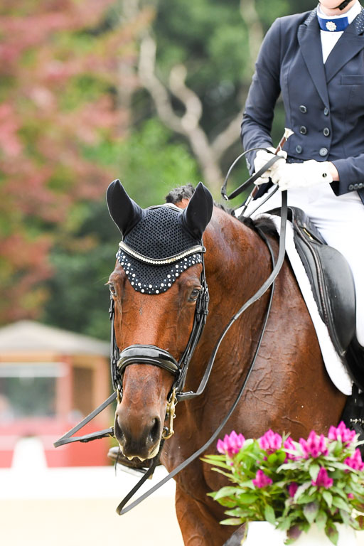 Anakenenhof    Dressur  25.08.2023 | Anakenenhof Prfg 2_725 