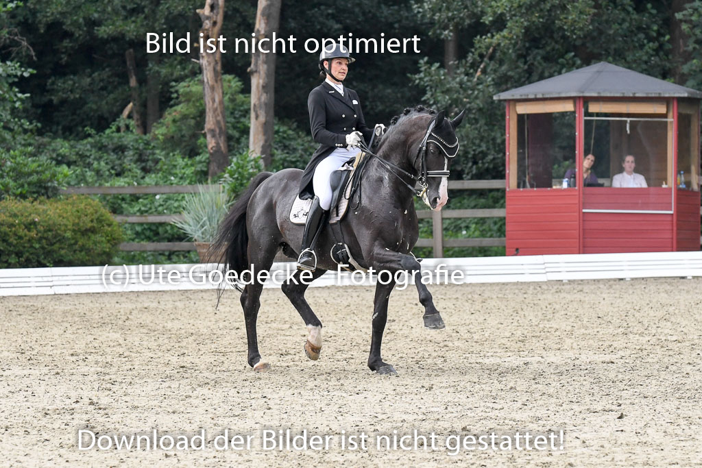 Anakenenhof Dressur 25.08.2023 | Anakenenhof Prfg 3_104