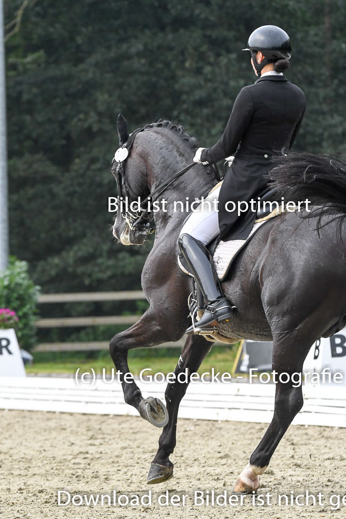 Anakenenhof Dressur 25.08.2023 | Anakenenhof Prfg 3_120