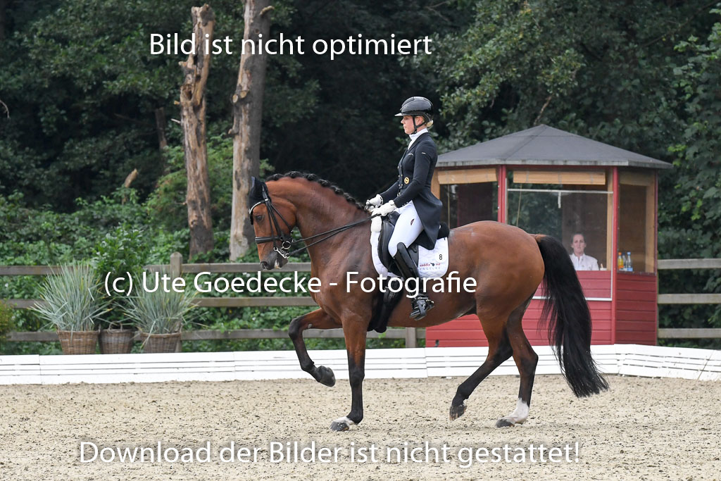 Anakenenhof Dressur 25.08.2023 | Anakenenhof Prfg 3_138