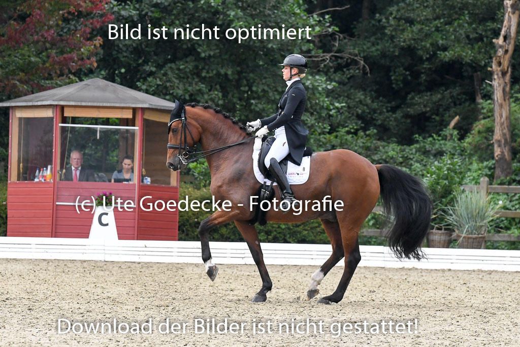 Anakenenhof Dressur 25.08.2023 | Anakenenhof Prfg 3_140