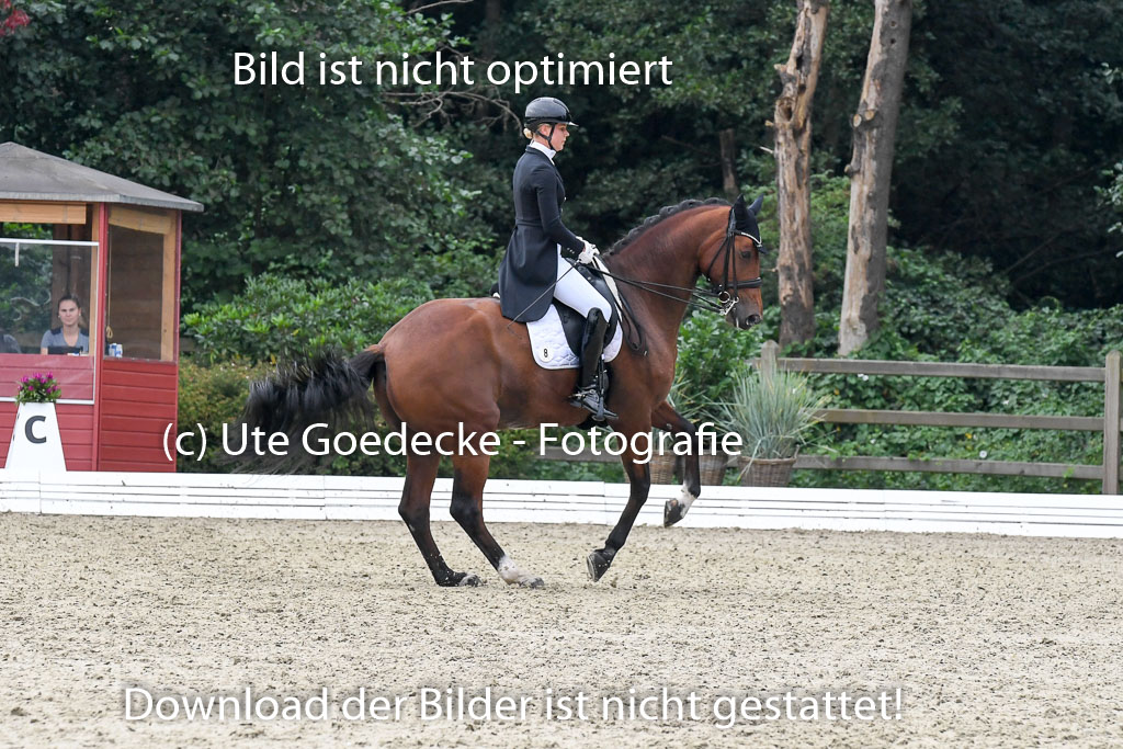 Anakenenhof Dressur 25.08.2023 | Anakenenhof Prfg 3_148