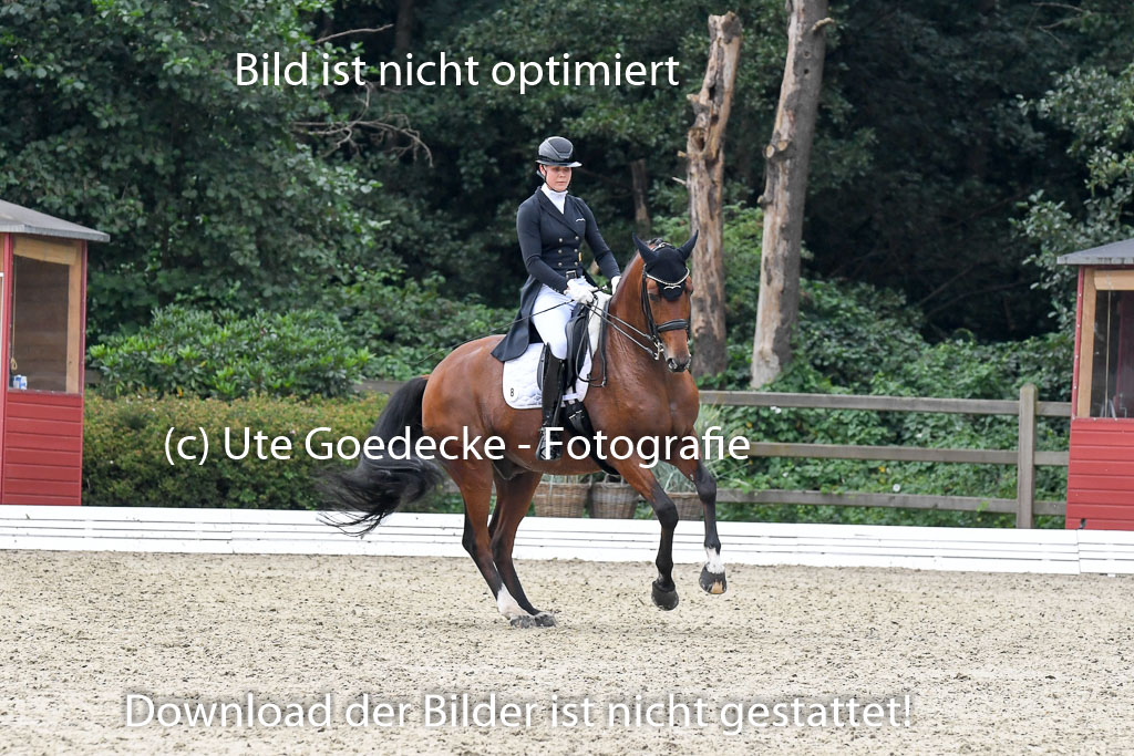 Anakenenhof Dressur 25.08.2023 | Anakenenhof Prfg 3_150