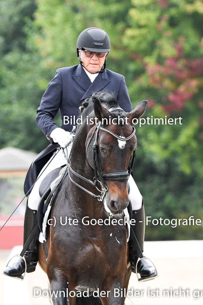 Anakenenhof Dressur 25.08.2023 | Anakenenhof Prfg 3_166