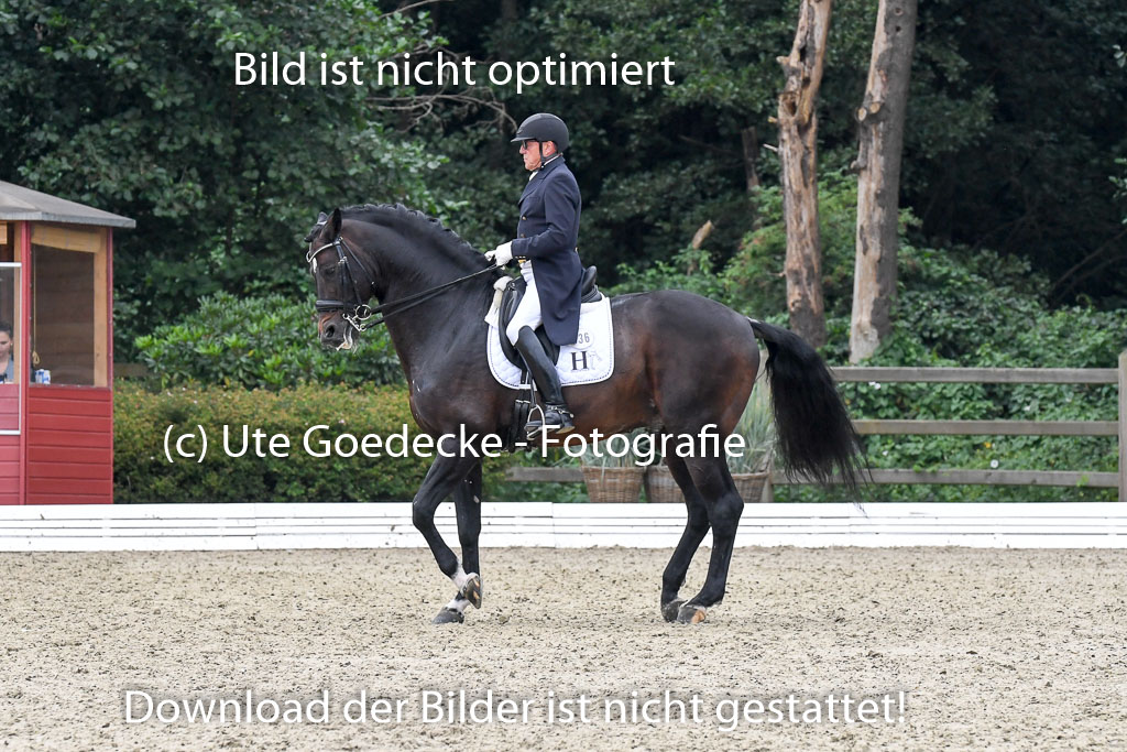 Anakenenhof Dressur 25.08.2023 | Anakenenhof Prfg 3_175