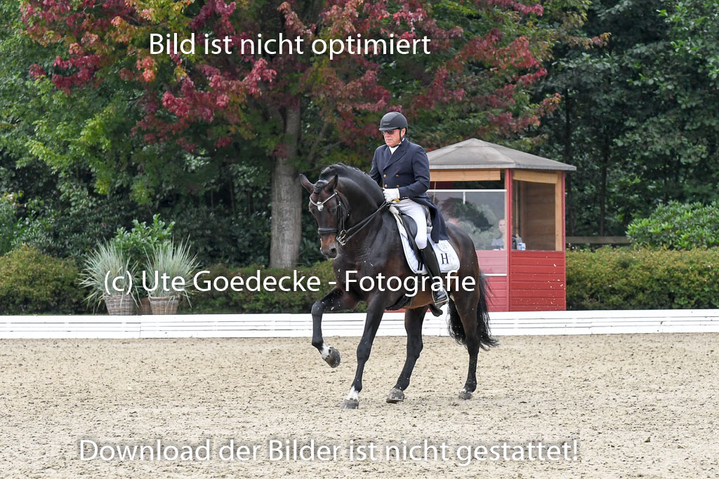 Anakenenhof Dressur 25.08.2023 | Anakenenhof Prfg 3_177