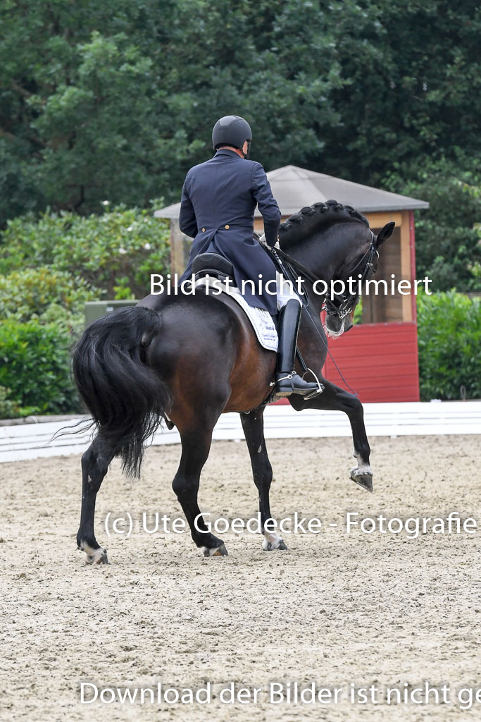 Anakenenhof Dressur 25.08.2023 | Anakenenhof Prfg 3_178