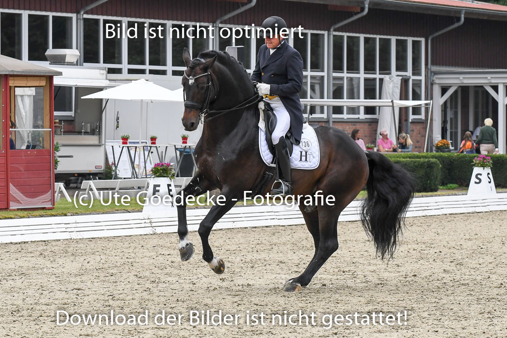 Anakenenhof Dressur 25.08.2023 | Anakenenhof Prfg 3_186