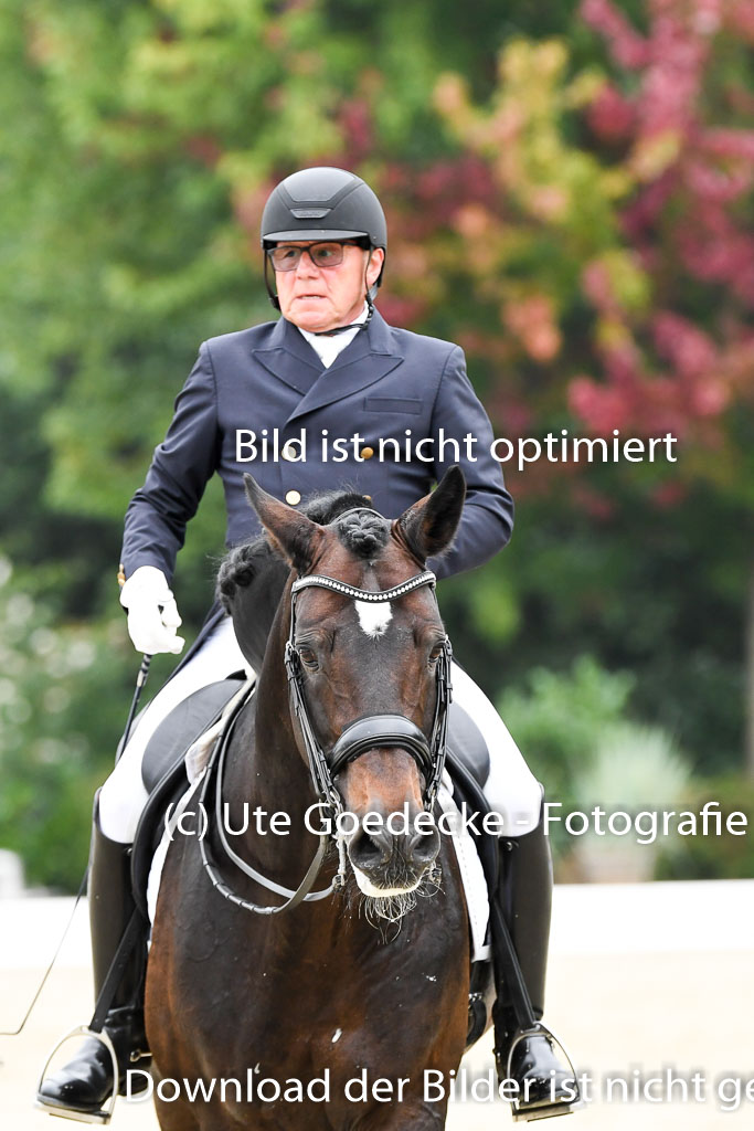 Anakenenhof Dressur 25.08.2023 | Anakenenhof Prfg 3_192