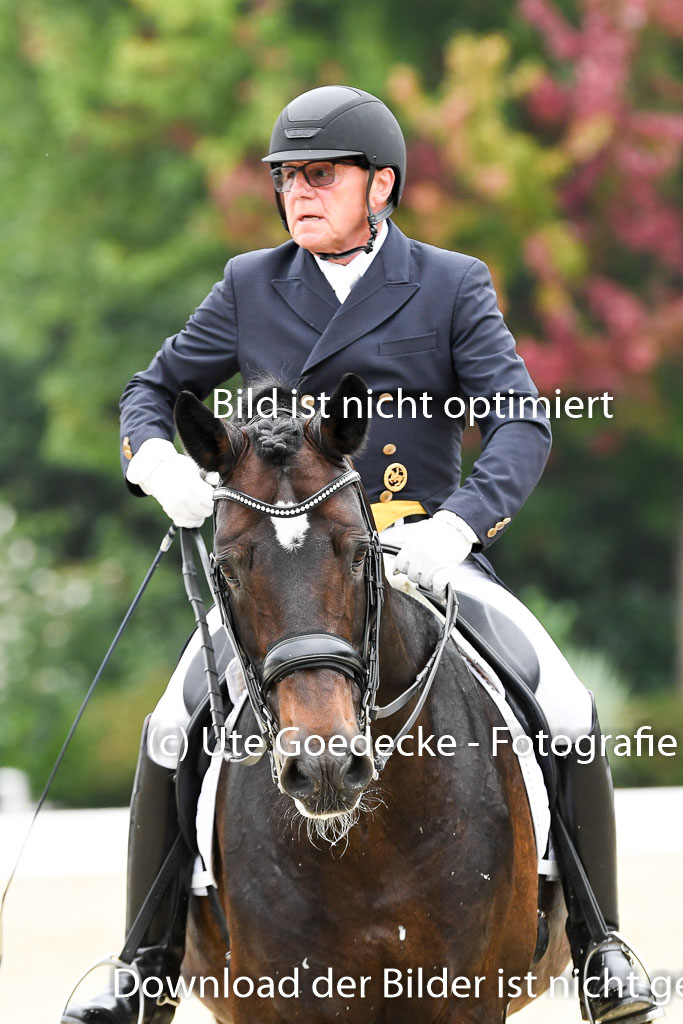 Anakenenhof Dressur 25.08.2023 | Anakenenhof Prfg 3_193