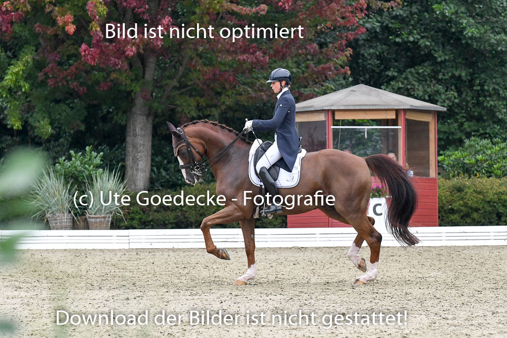 Anakenenhof Dressur 25.08.2023 | Anakenenhof Prfg 3_226