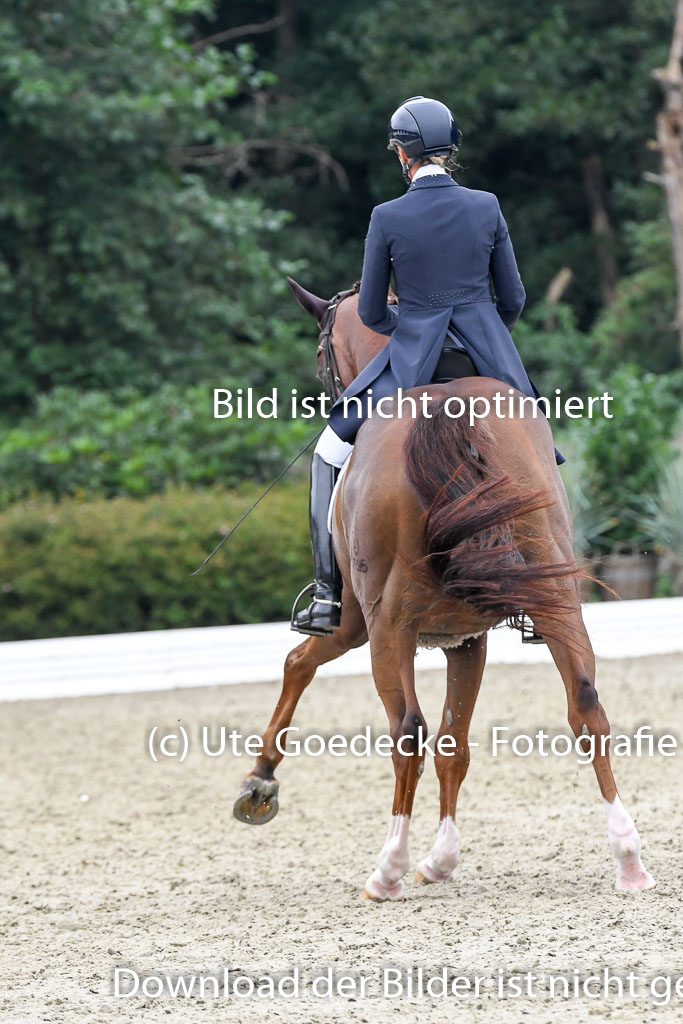 Anakenenhof Dressur 25.08.2023 | Anakenenhof Prfg 3_233