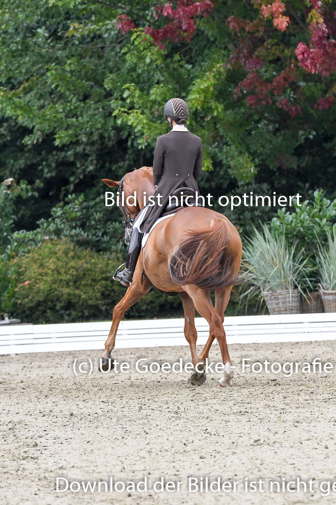 Anakenenhof    Dressur  25.08.2023 | Anakenenhof Prfg 3_267 