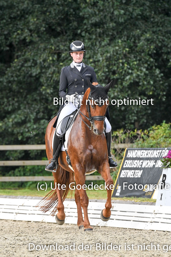 Anakenenhof    Dressur  25.08.2023 | Anakenenhof Prfg 3_292 