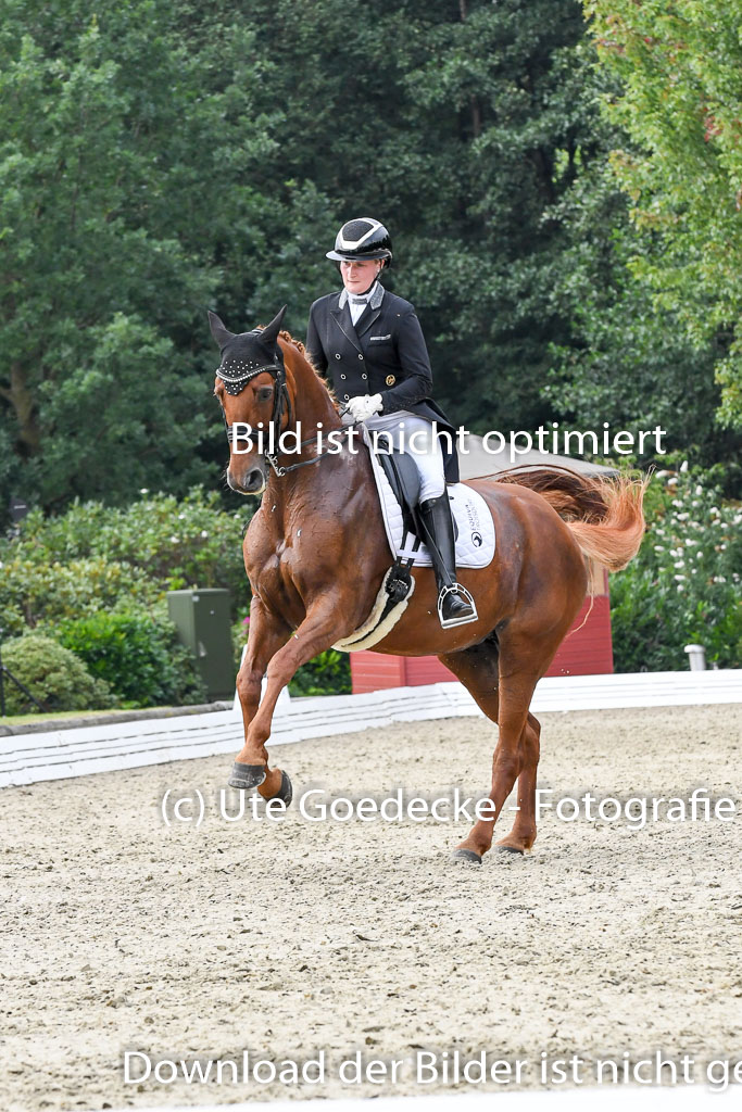 Anakenenhof Dressur 25.08.2023 | Anakenenhof Prfg 3_312