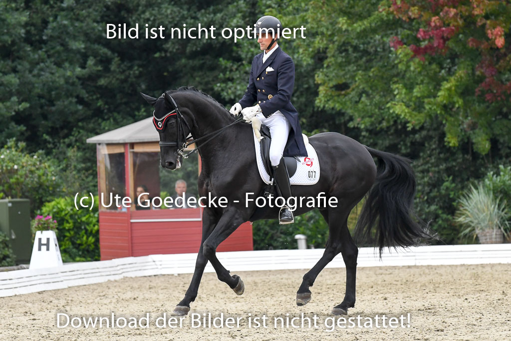 Anakenenhof Dressur 25.08.2023 | Anakenenhof Prfg 3_324