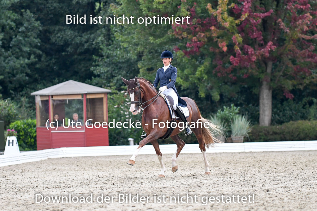 Anakenenhof Dressur 25.08.2023 | Anakenenhof Prfg 3_365