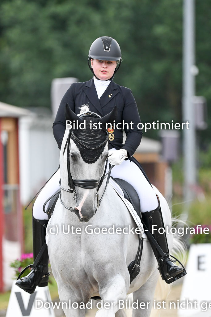Anakenenhof Dressur 25.08.2023 | Anakenenhof Prfg 3_398