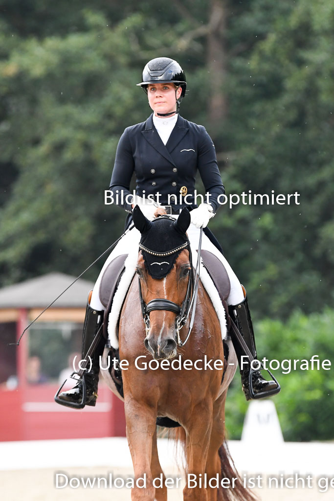 Anakenenhof Dressur 25.08.2023 | Anakenenhof Prfg 3_488