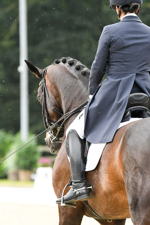 Anakenenhof    Dressur  25.08.2023 | Anakenenhof Prfg 3_016 