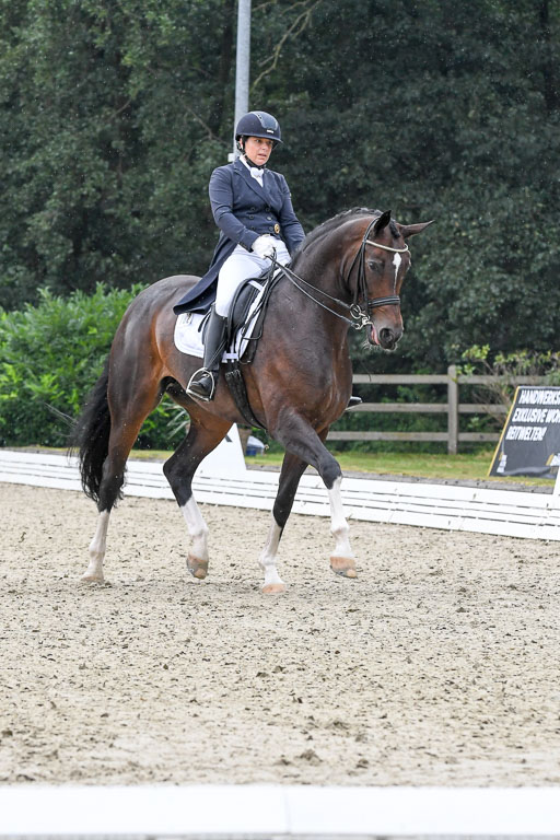 Anakenenhof    Dressur  25.08.2023 | Anakenenhof Prfg 3_017 