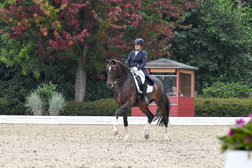 Anakenenhof    Dressur  25.08.2023 | Anakenenhof Prfg 3_022 