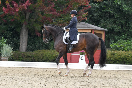Anakenenhof    Dressur  25.08.2023 | Anakenenhof Prfg 3_026 